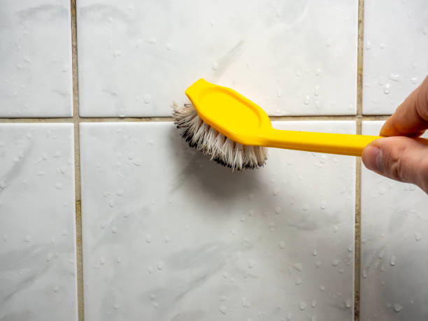 Best Commercial Mold Removal  in Collinsville, VA