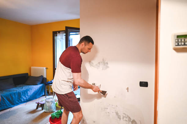 Best Black Mold Removal  in Collinsville, VA